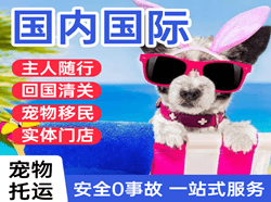 常德桃花源机场托运国际宠物托运 【国